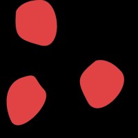 Riccardo Di Sabatino