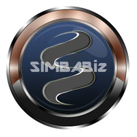 simbabiz Inc