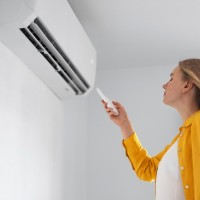 Willekes Groothandel