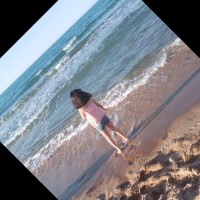Fedia Fedia