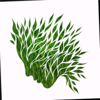 Hrenvopap Envopap