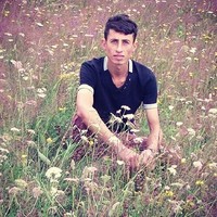 mustafa Tekmen