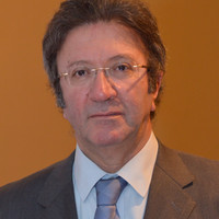Adel El Etriby
