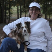 Stella Alambis-Babson