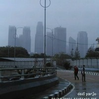 Dedi Parjo