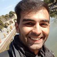 Mohsen Delsouz