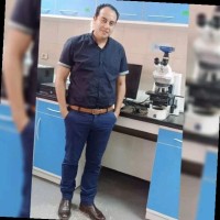 Mohamed El. Adawy