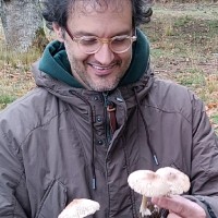 Dimitrios Zacharopoulos