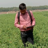Kanhaiya Nagpure