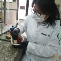 MARIA JOSE RODRÍGUEZ