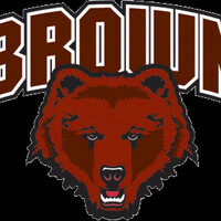 Brown Net