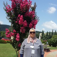 Dr.Shatha Habeeb