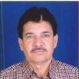 N P Kaushal