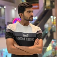 Ali Hamza ( WordPress and SEO Expert )