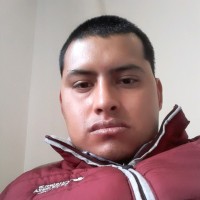 Ricardo Ibarra