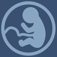 Journal Of Developmental Biology
