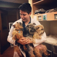 Emilea Burton DVM, CHPV, CCFP, Fear Free Certified