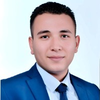 Bassem Elwazir