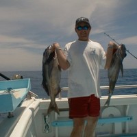 Tim Harding