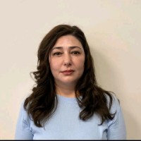 Emine Demir