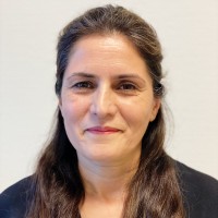 Mehry Hosseiny