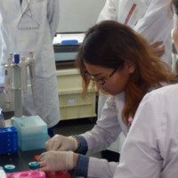 Tsenguunmaa Lkhaasuren