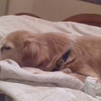 Eva Carneiro Gonzalez