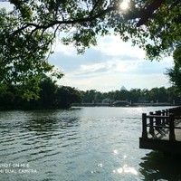 谭仕林