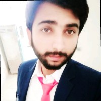 Raj borana