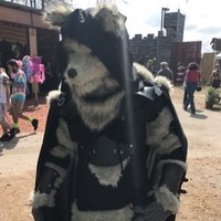 Grey Wolf