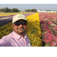 Ravindra Savant