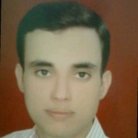 Mohsen Kotp
