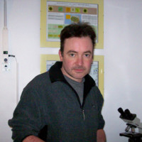 Armin Drexler