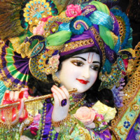Abhay Jha
