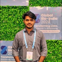 Kumar Prasannajit Sahu