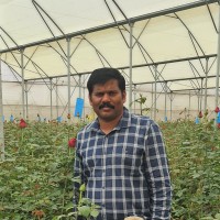 Hareesh Nair
