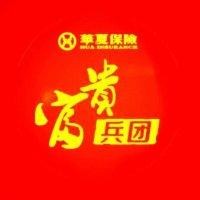 华夏保