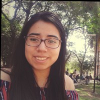 Ariana Mirella Villegas Suarez