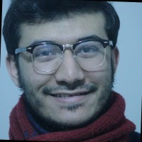 Ahmed Saad, Msc