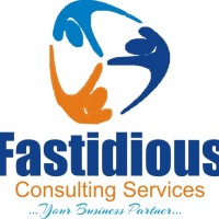 Fastidious Consulting Services