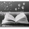 Study English