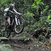 Eko utomo