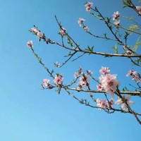 汪红燕