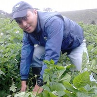 Julio Andres Vargas