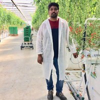Srinivas jengili