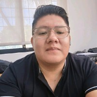 Jesus Armando Vila Martinez