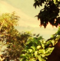 Parvathaneni Manasa