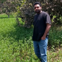 Matti Ullah