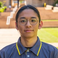 Hank Liu