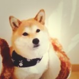 何继强